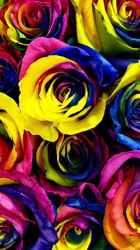 Neon Rainbow Roses Wallpaper By Karresse6988 19 Free On Zedge