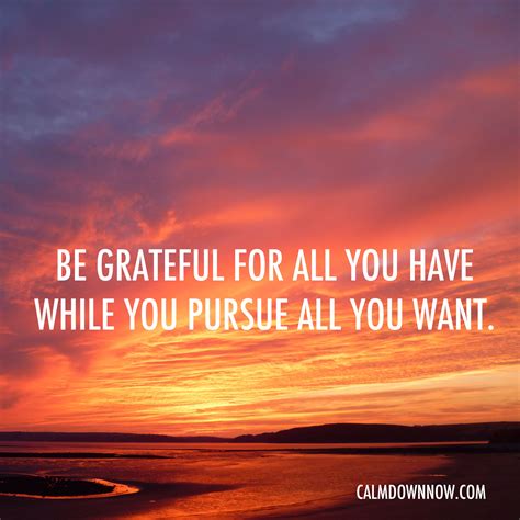 Be Grateful For All You Have While You Pursue All You Want