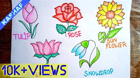How To Draw A Five Flowers Step By Step Easy Way Tulip Rose Sun
