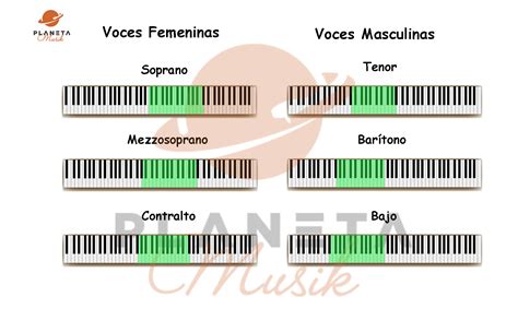 Tesitura De Las Diferentes Tipos De Voces La Voz Rango Vocal Aula
