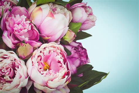 peony bouquet how to create the perfect display with peonies