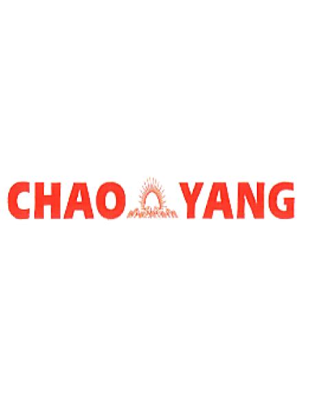 Chaoyang производитель вело и мото шин в Китае