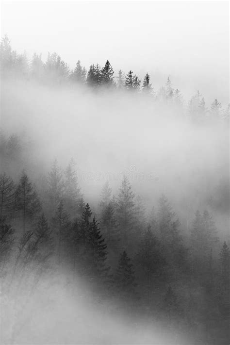 Black And White View To Foggy Mountains And Hills Stock Image Image