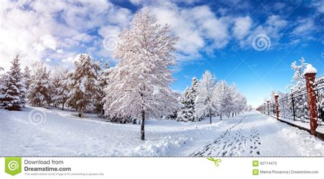 Beautiful Winter Park Panorama Stock Photo Image 62714473