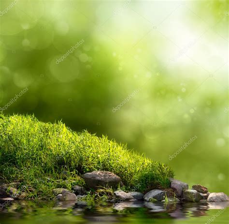 Green Nature Background — Stock Photo © Smileus 42324601