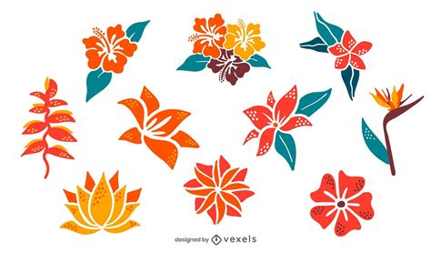 Tropical Colored Flower Illustration Pack Vector Download