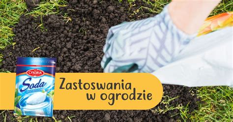 Jak wykorzystać sodę oczyszczoną w ogrodzie - DomPelenPomyslow.pl