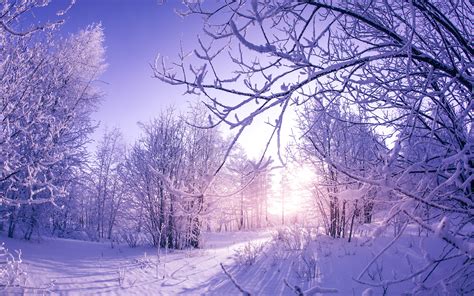 Картинки Зима Снег Природа Telegraph