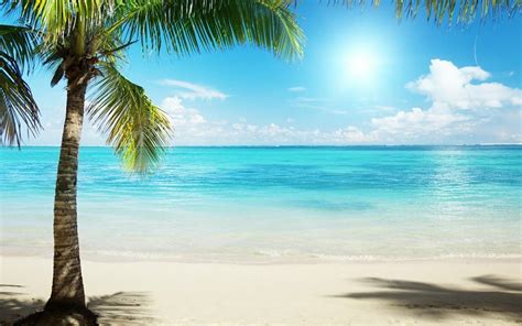 Download Tropical Beach Background For Zoom Png Alade