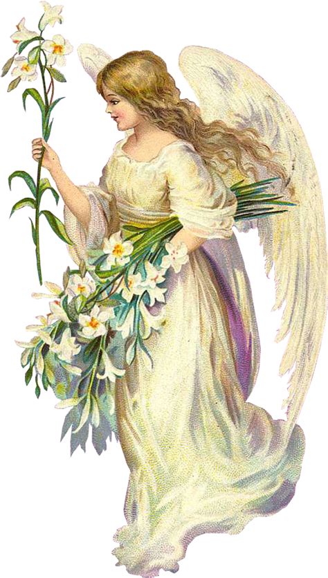 Angel Png Images Transparent Background Png Play