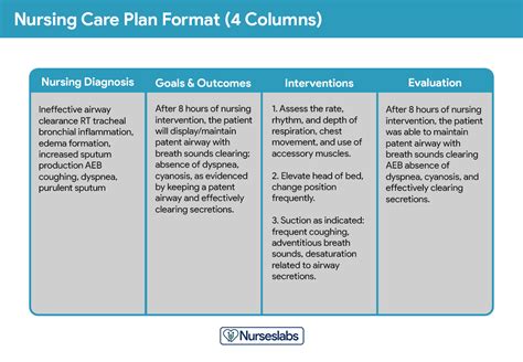 How To Write Good Care Plans Ahern Scribble