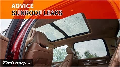 Checking Preventing Sunroof Leaks Why Drains That Slurp Are Better Driving Ca YouTube