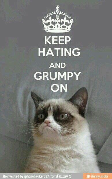 Grumpy Cat Got To Love It Grumpy Cat Humor Grumpy Cat Quotes