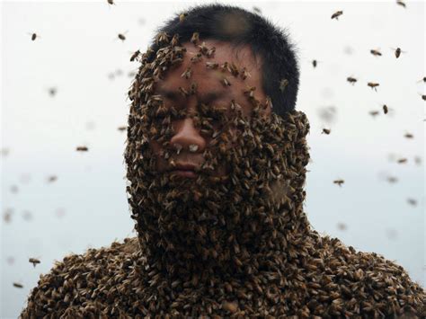 The guy who owns the bees said he'd prefer to dress like that to, but the suit makes him look more professional, which is interesting because i've heard i saw a guy at mother earth do a demonstration with just a veil and did a full inspection. Man Dons Bee Suit Made of 460,000 Live Insects - ABC News