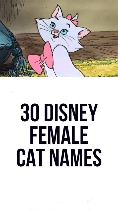 30 Disney Female Cat Names Cat Names Cat Lady Cats