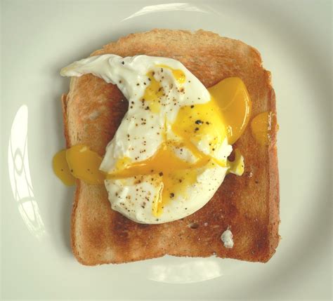 Poached Egg On Toast Free Photo Download Freeimages