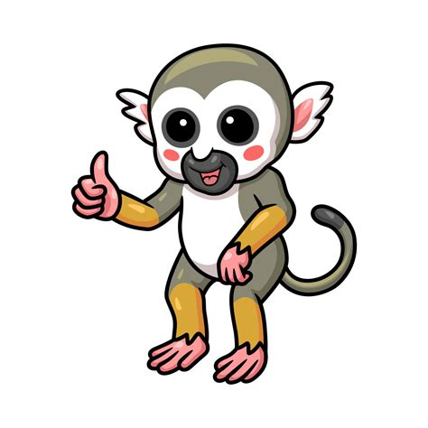 Cute Little Squirrel Monkey Cartoon Giving Thumb Up 14328831 Vector Art
