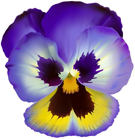 Violet Flower Transparent Clip Art Gallery Yopriceville