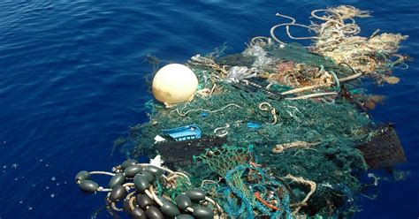 Help Our Trash In The Ocean Is Killing Animals Destroying Ecosystems