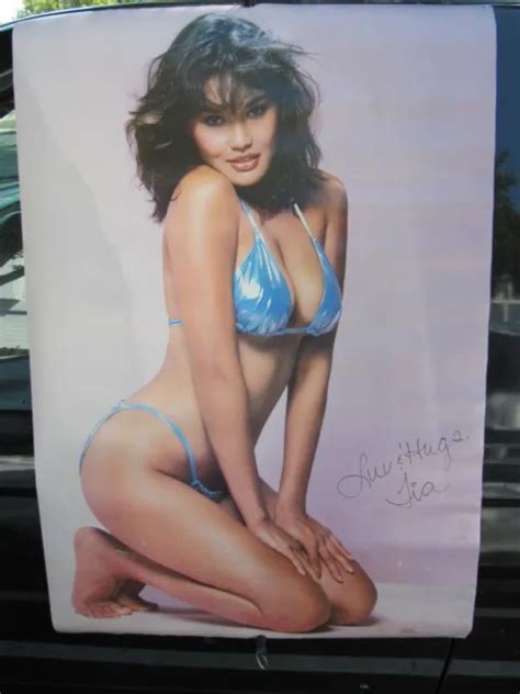 ORIGINAL 1980 S TIA Carrere Bikini Swimsuit Poster Wayne S World Relic