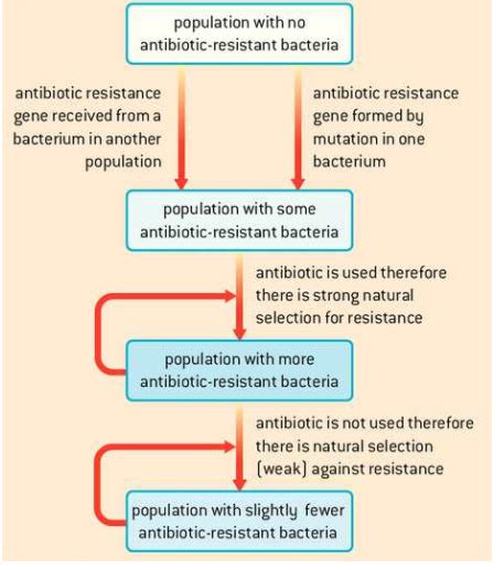 Topic 2 Natural Selection Diagram Quizlet