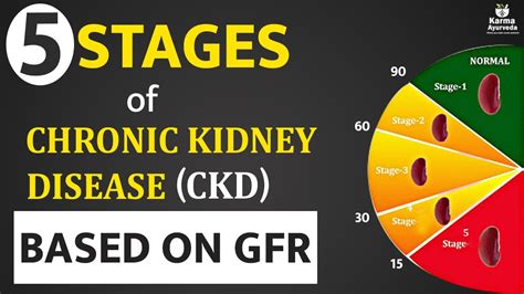5 Stages Of Chronic Kidney Disease Ckd Based On Gfr Stages Of Renal