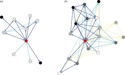 Dynamics Of Cooperative Networks Associated With Gender Among South