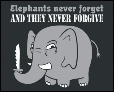 1000 images about elephants never forget and they never forgive on pinterest