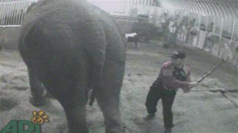 Circus Owner Found Guilty Of Three Counts Of Animal