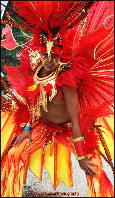 Trinidad Carnival 2009 Tribe Costume Trinidad Carnival 2 Flickr