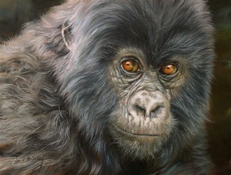 Mountain Gorilla New David Stribbling Oil Painting On Popscreen