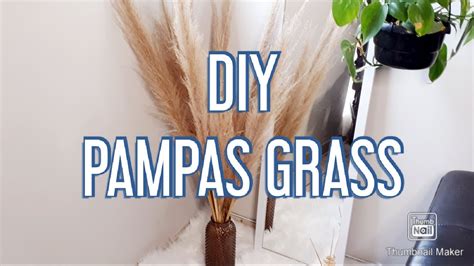 Diy Pampas Grass Decor Youtube