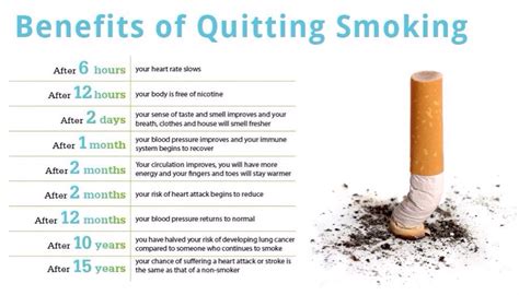 Benefits Of Quitting Smoking 🚭🚭🚭 Musely