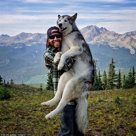 Man Takes Best Friend Loki The Wolfdog On Incredible Adventures