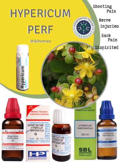Homeopathy Medicine Hypericum Perforatum Indications Benefits Dosage