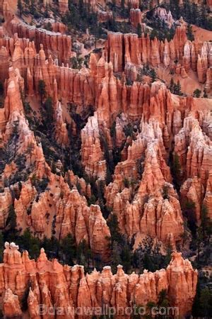 Hoodoos In Bryce Amphitheater Seen From Bryce Point Bryce Canyon