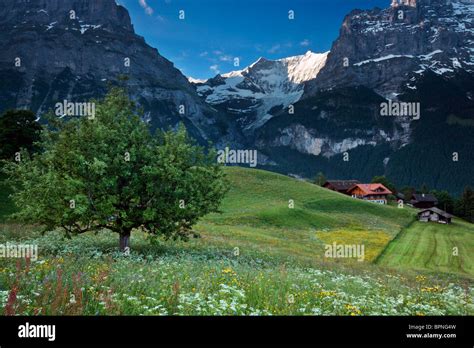 Grindelwald Fotografías E Imágenes De Alta Resolución Alamy
