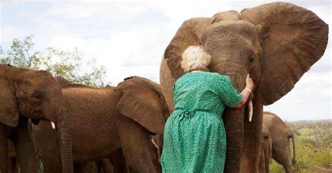 Woman Has Elephants Lined Up To Hug Her And The Reason Why Is Truly