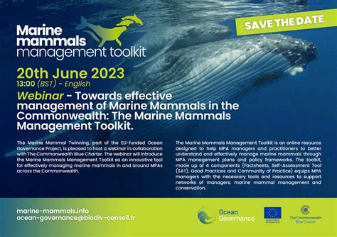Events – OCEAN GOVERNANCE MARINE MAMMALS
