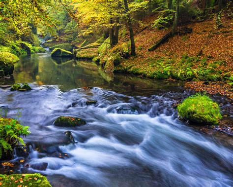 Beautiful Nature Forest River Wallpapers Hd High Definition 1920x1200