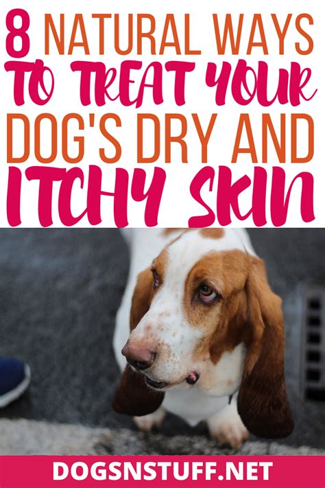 8 Natural Ways To Treat Dry And Itchy Skin In Dogs Dog Dry Skin