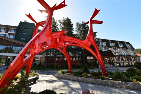 Mona Plaza Zlatibor Updated 2023 Prices Reviews And Photos Serbia