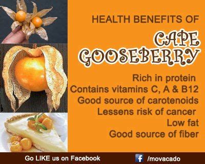 Homehealth benefits of fruitsamazing health benefits of cape gooseberry. Have you eaten a cape gooseberry? Tell us below! Veggies ...