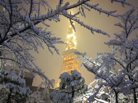 Heaviest Snow In 4 Years Hits Tokyo Japan Today