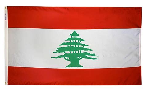 Buy 3 X 5 Nylon Lebanon Flag Flag Store Usa