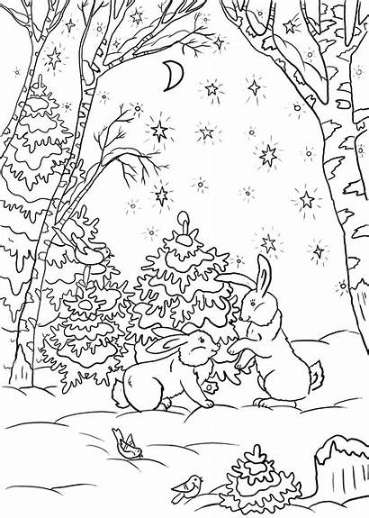Coloring Winter Animals Forest Inverno Colorare Disegni