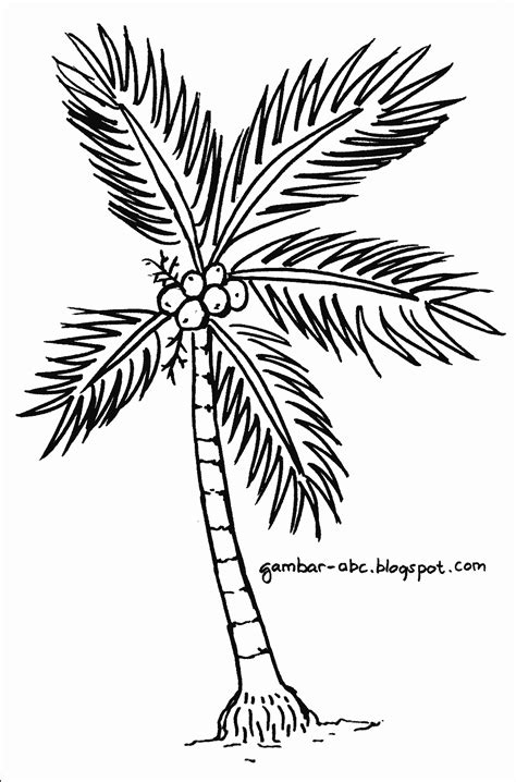 pohon kelapa contoh gambar mewarnai