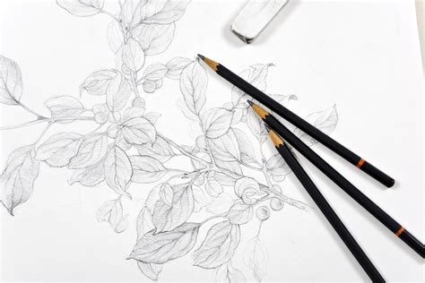 Learning To Draw With Graphite Pencil Heres What You Need To Know