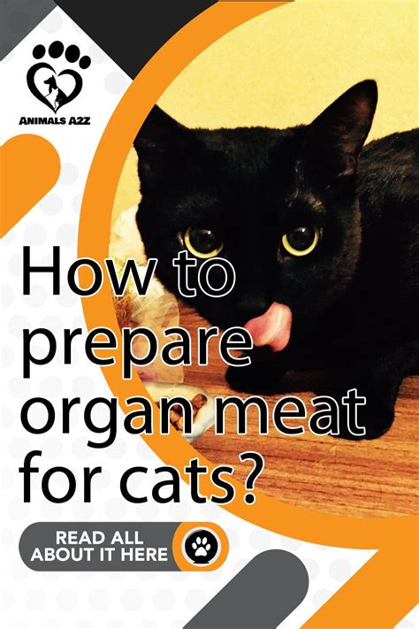 How To Prepare Organ Meat For Cats Cat Facts 2020 Cat Facts Best