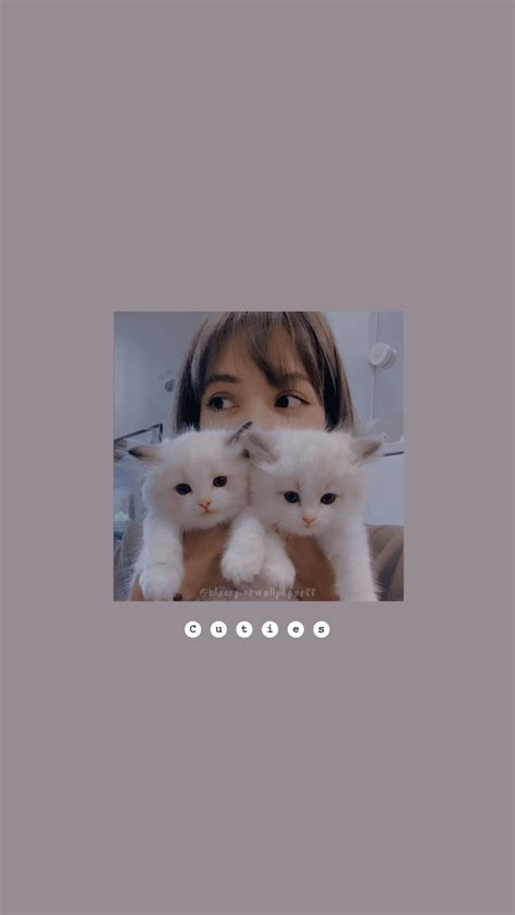 If you are looking for wallpaper lisa blackpink cute you've come to the right place. BLACKPINK LISA AESTHETIC WALLPAPER in 2020 | Lisa blackpink wallpaper, Cute panda wallpaper ...